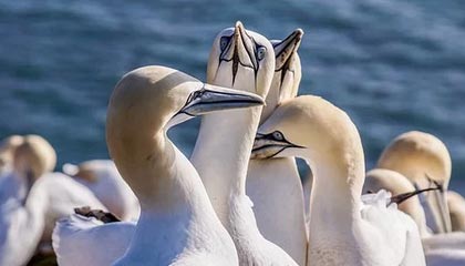 九游娱乐APP-【比赛总结】胜负背后隐藏的战术智慧，比赛有胜负的下一句