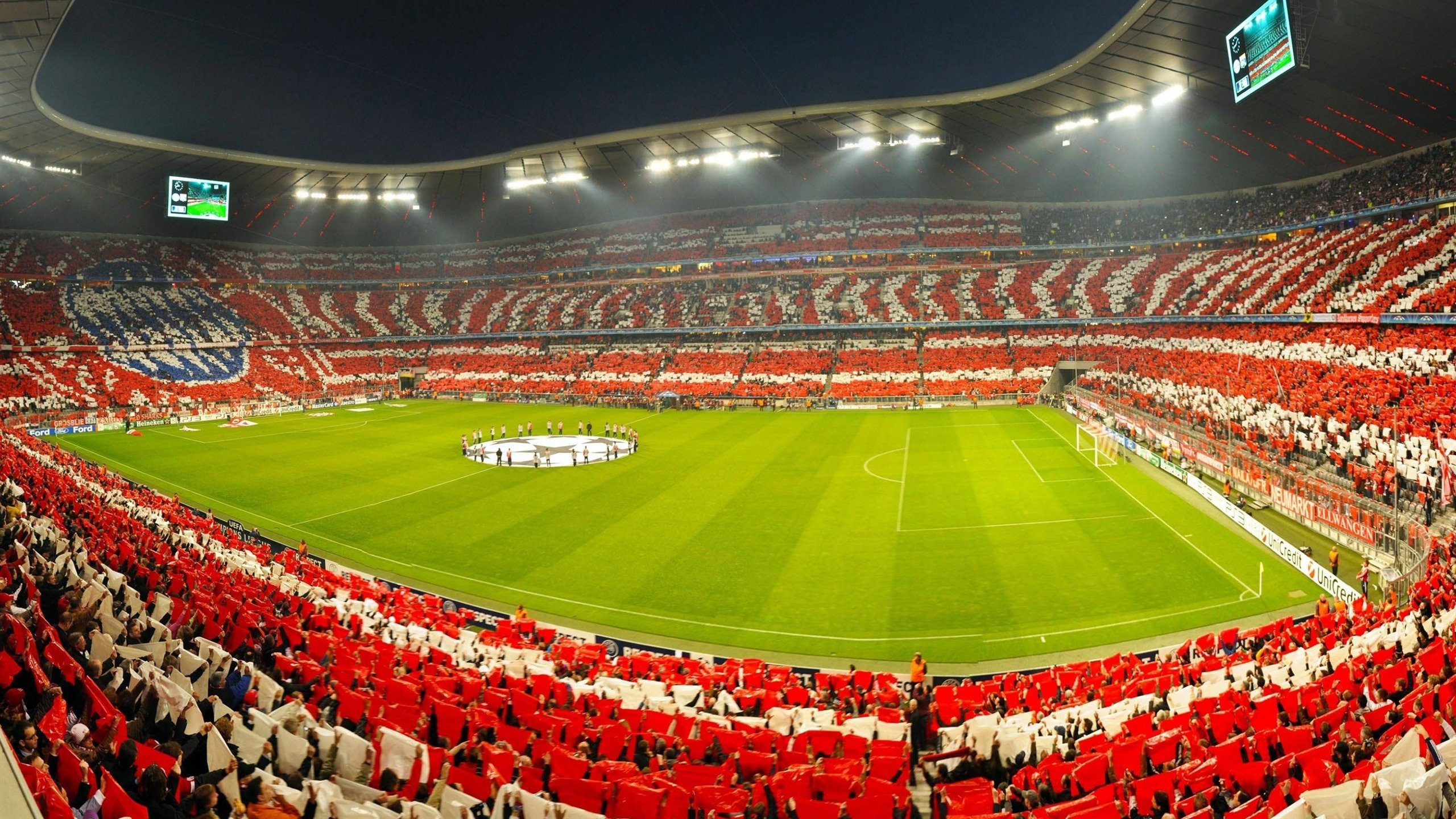 _星空下的露天瑜伽：平衡身心的天然良方_，星空下的露营有感