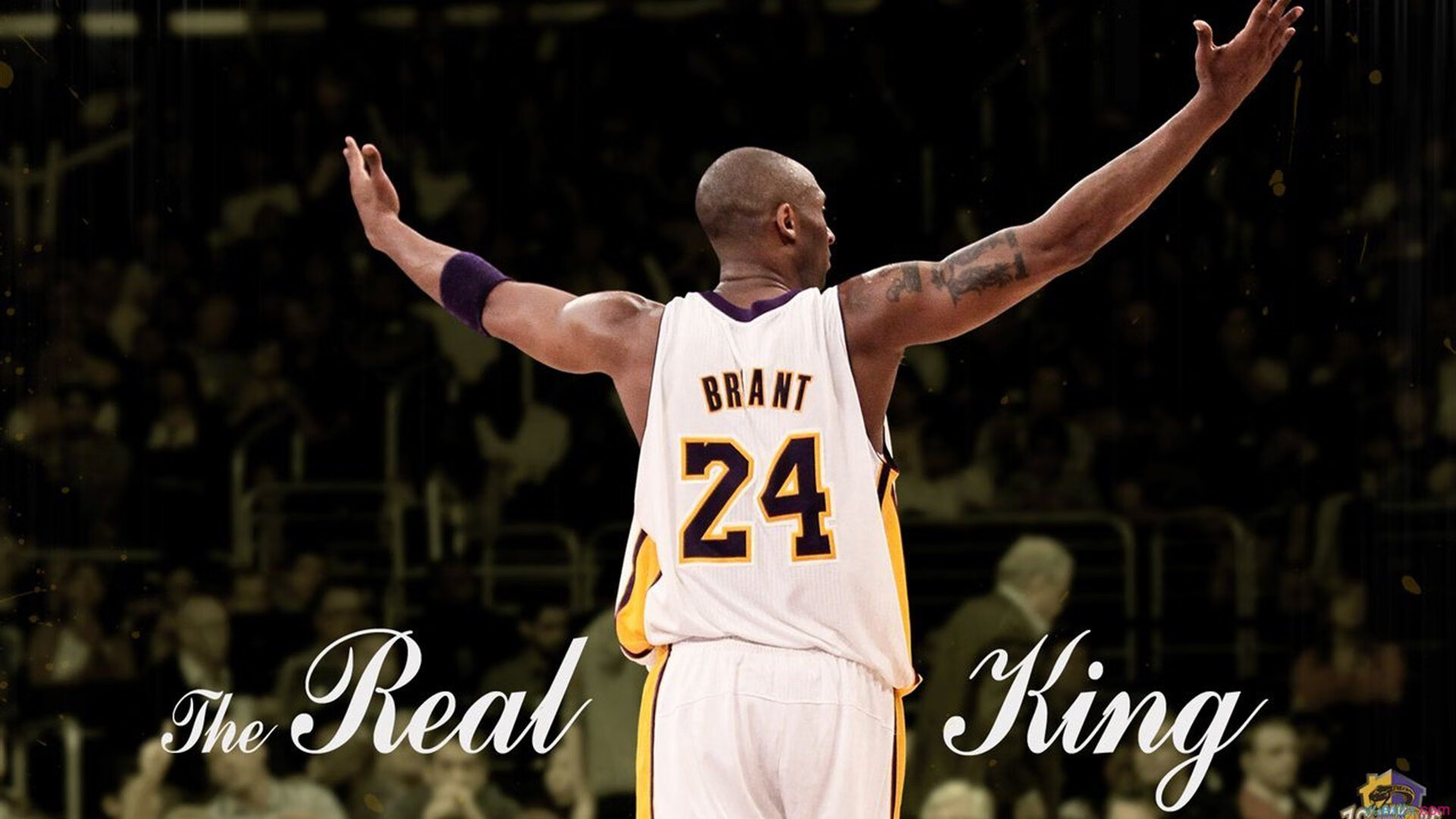 深度分析：当季最具潜力的两个明星PK，明星潜力股